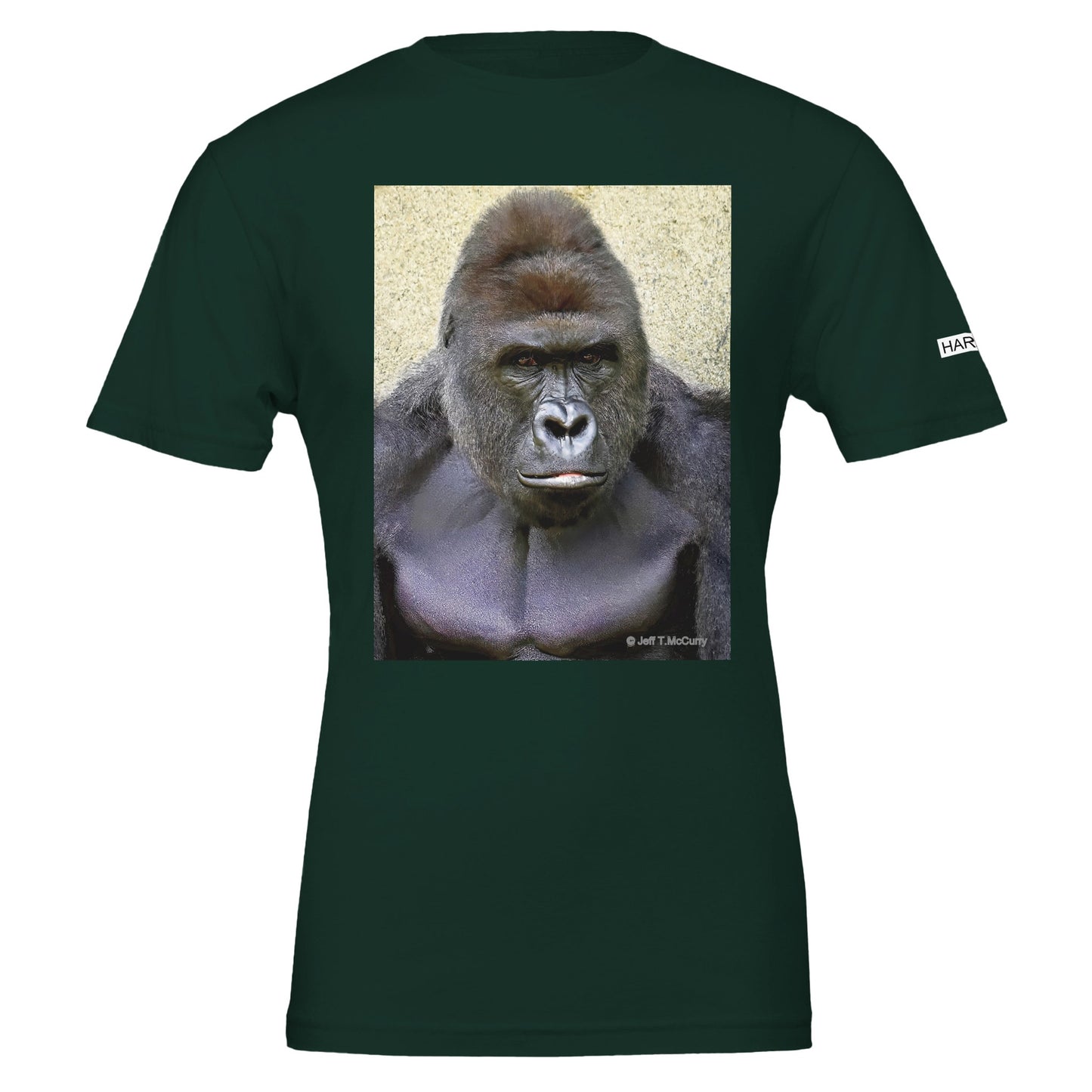 8bc4d786-f0f4-43d2-9110-ac7a0845f5d4