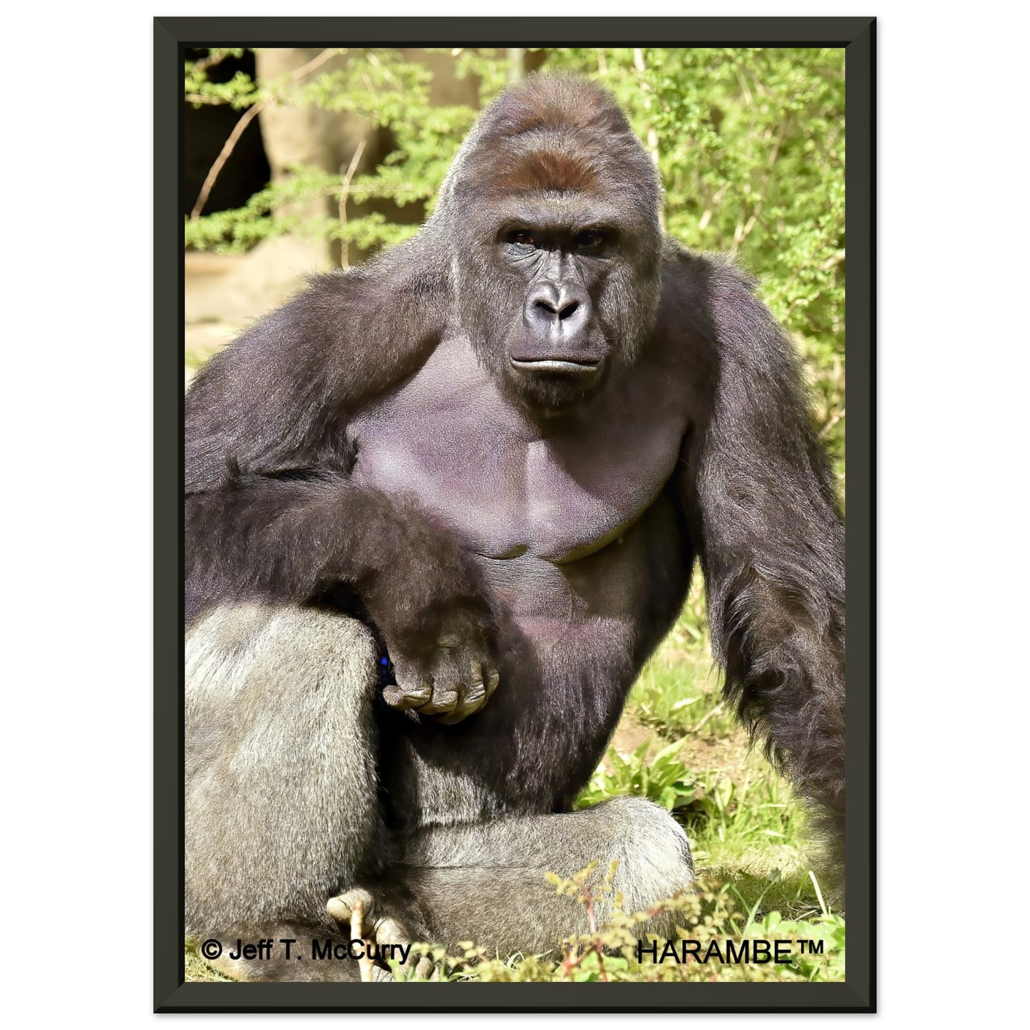 c2e8c08d-02bc-4468-934e-bb4ff0cbb868