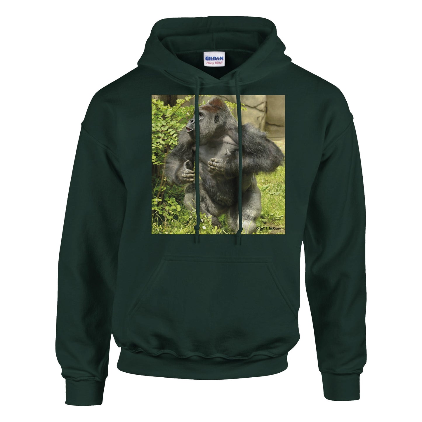 000561f3-2a9e-4871-8e23-6d733eda702c