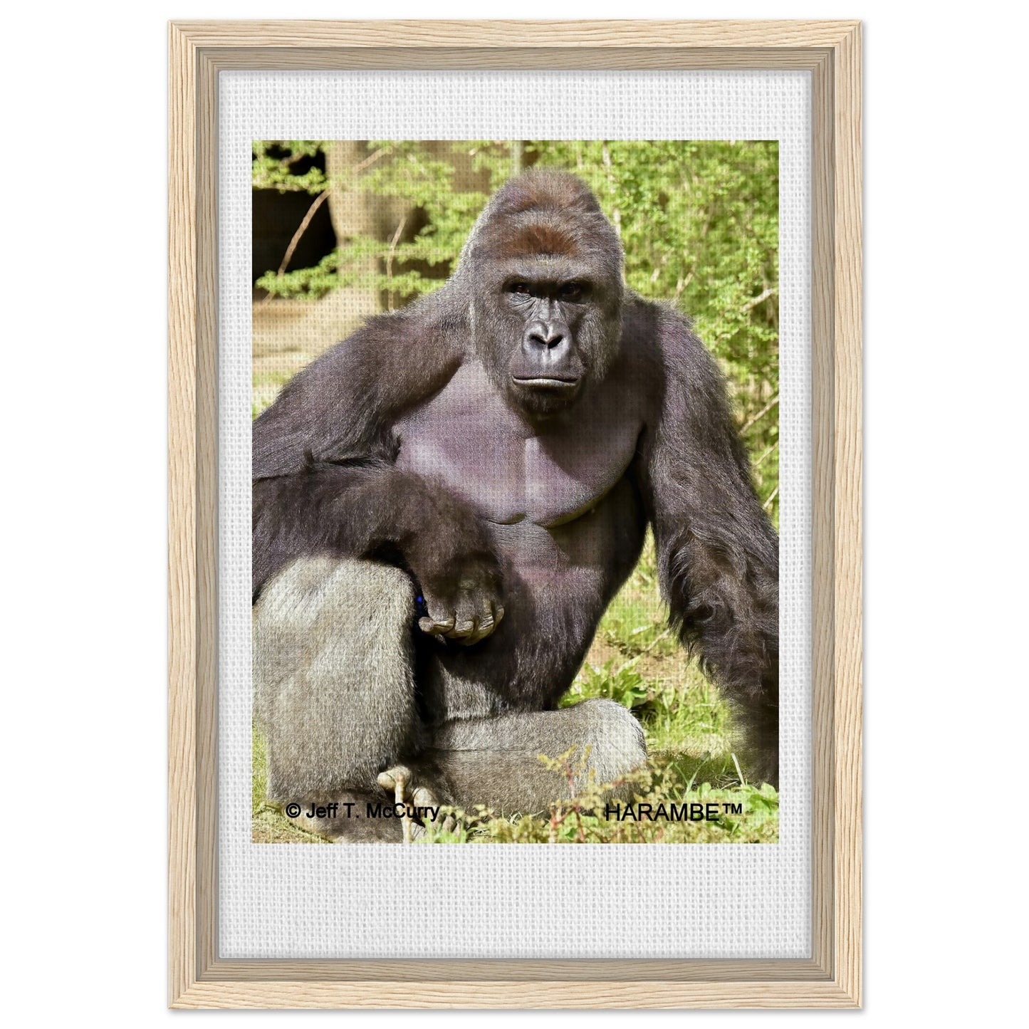 009550b3-93ad-44e1-a392-87785c4d5f7a