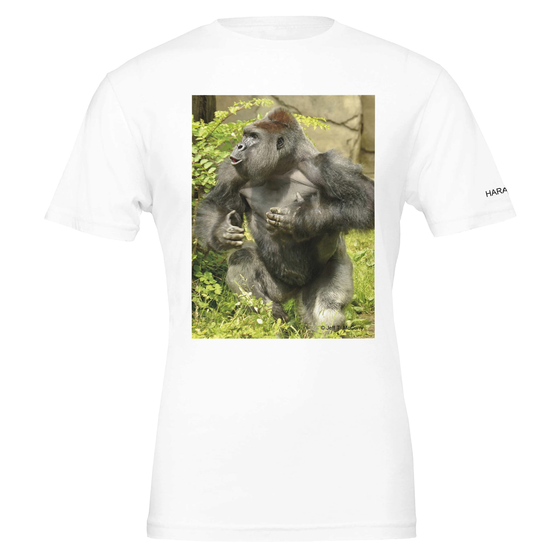 00bd6ef7-5f03-4ad5-a847-681e0e98ddf8