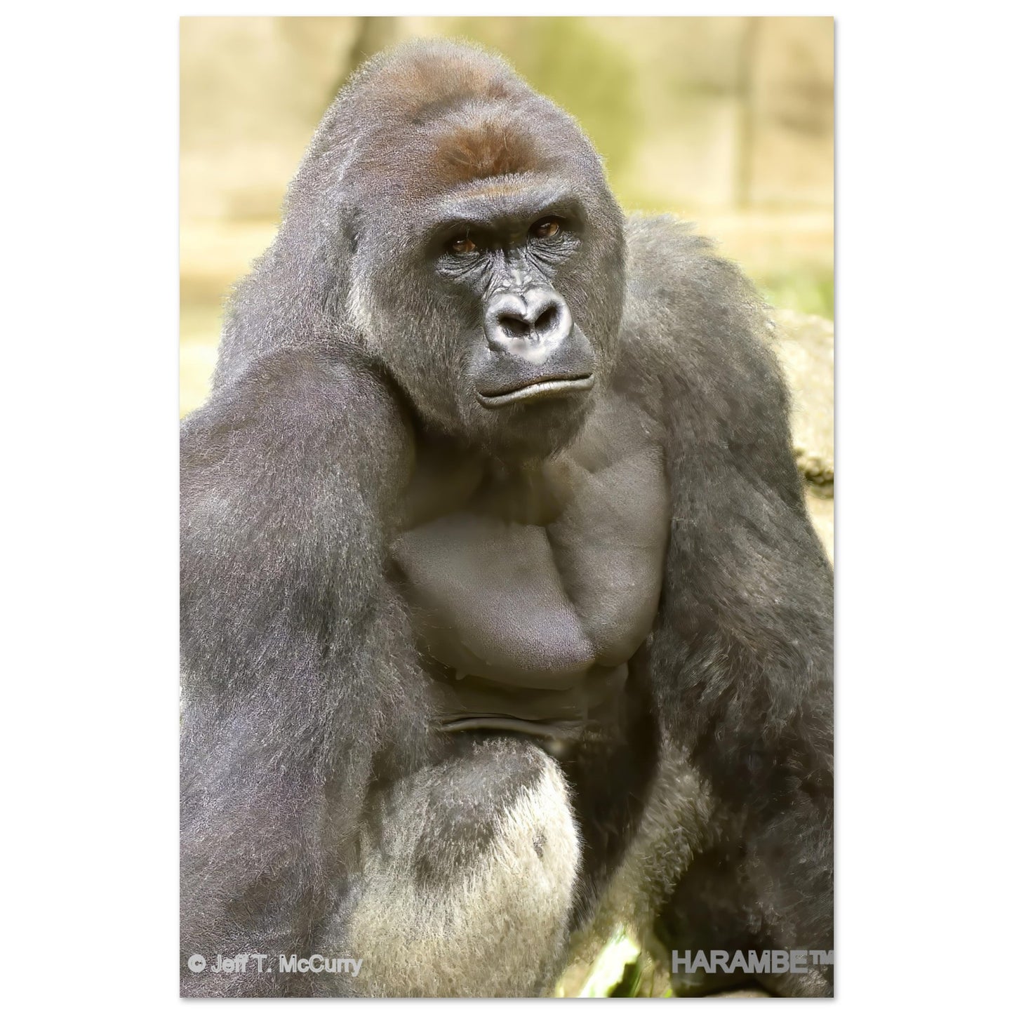 05f7426a-5720-4290-acc8-e97f22d80a4d