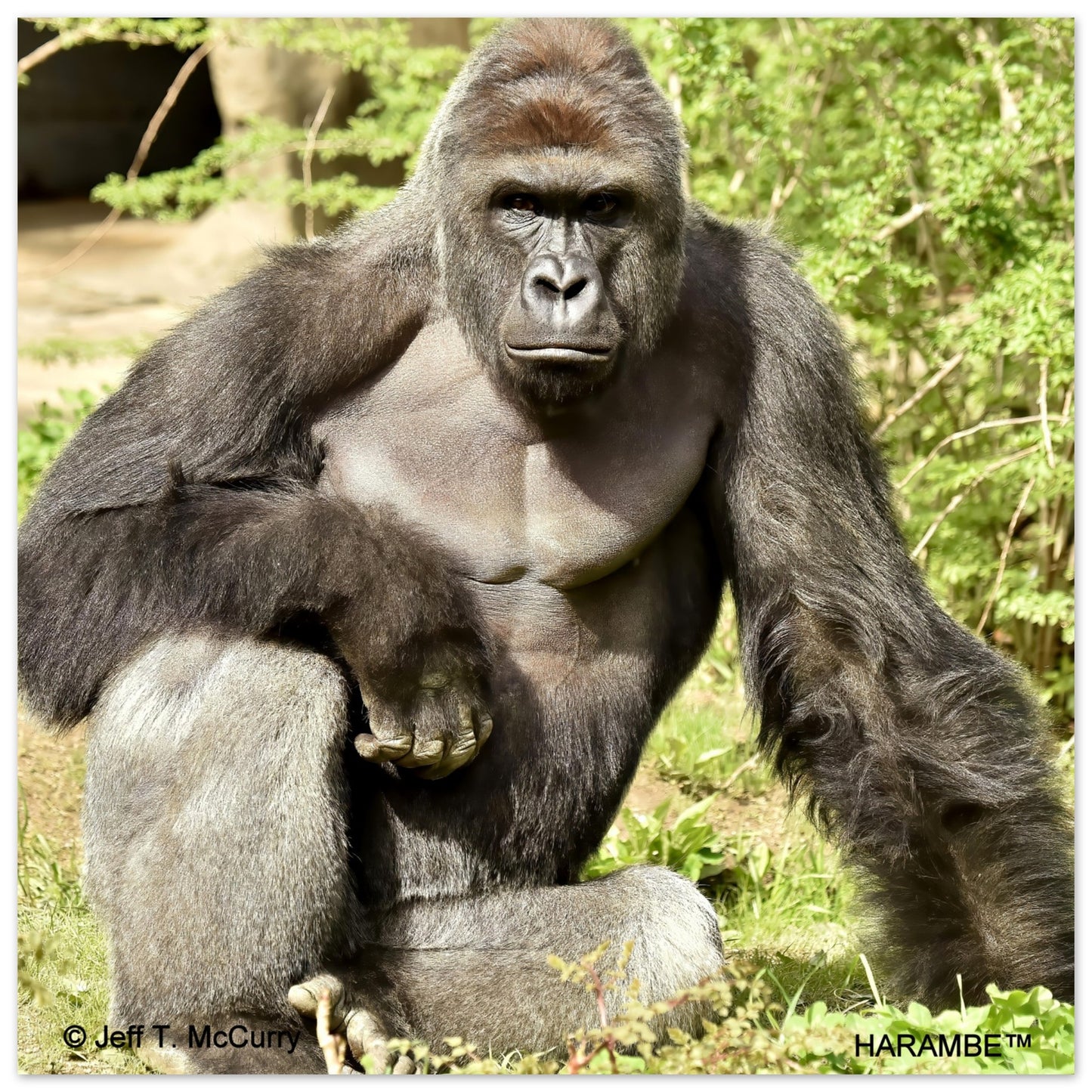 072be0c2-2f00-4846-a994-5e708715e15b