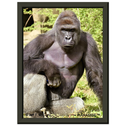 0788bc8d-d4bc-4753-bbde-ed9a2e8fd09e