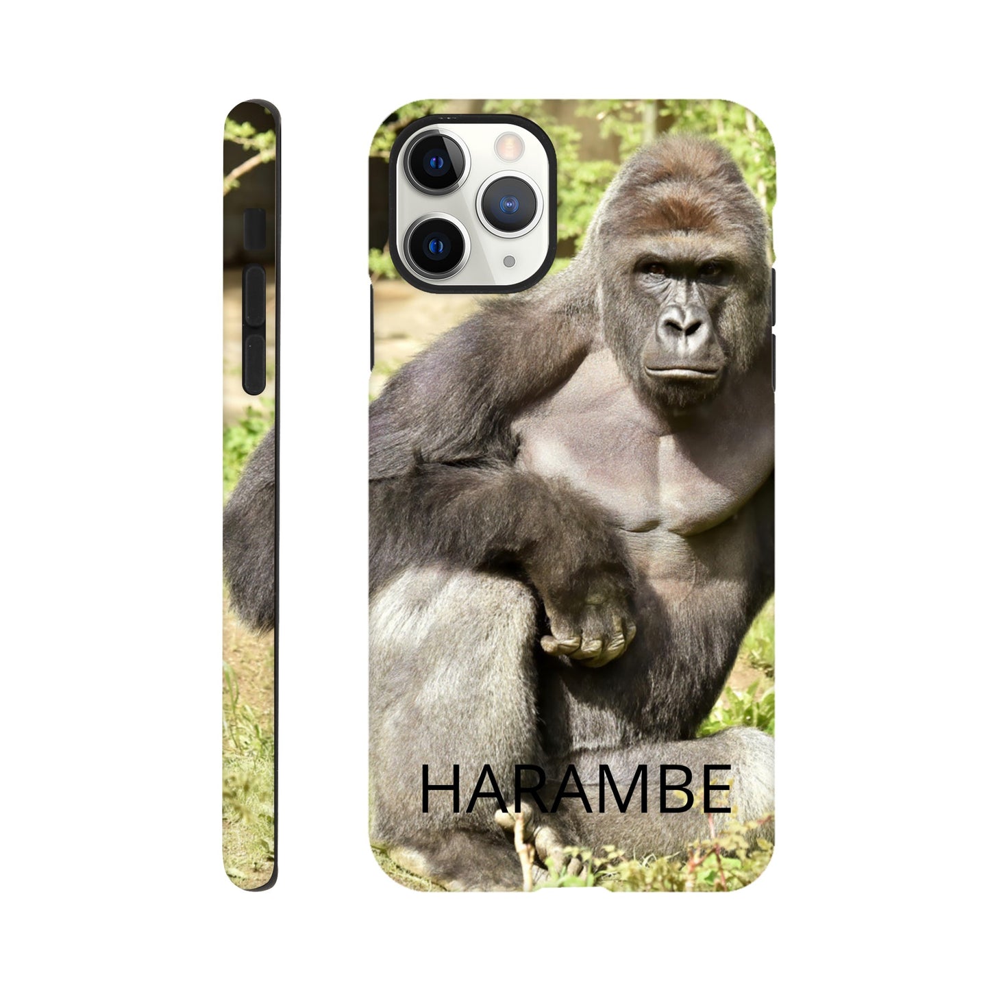 0a15daa5-1d27-407b-bc22-35938d4ad7ff