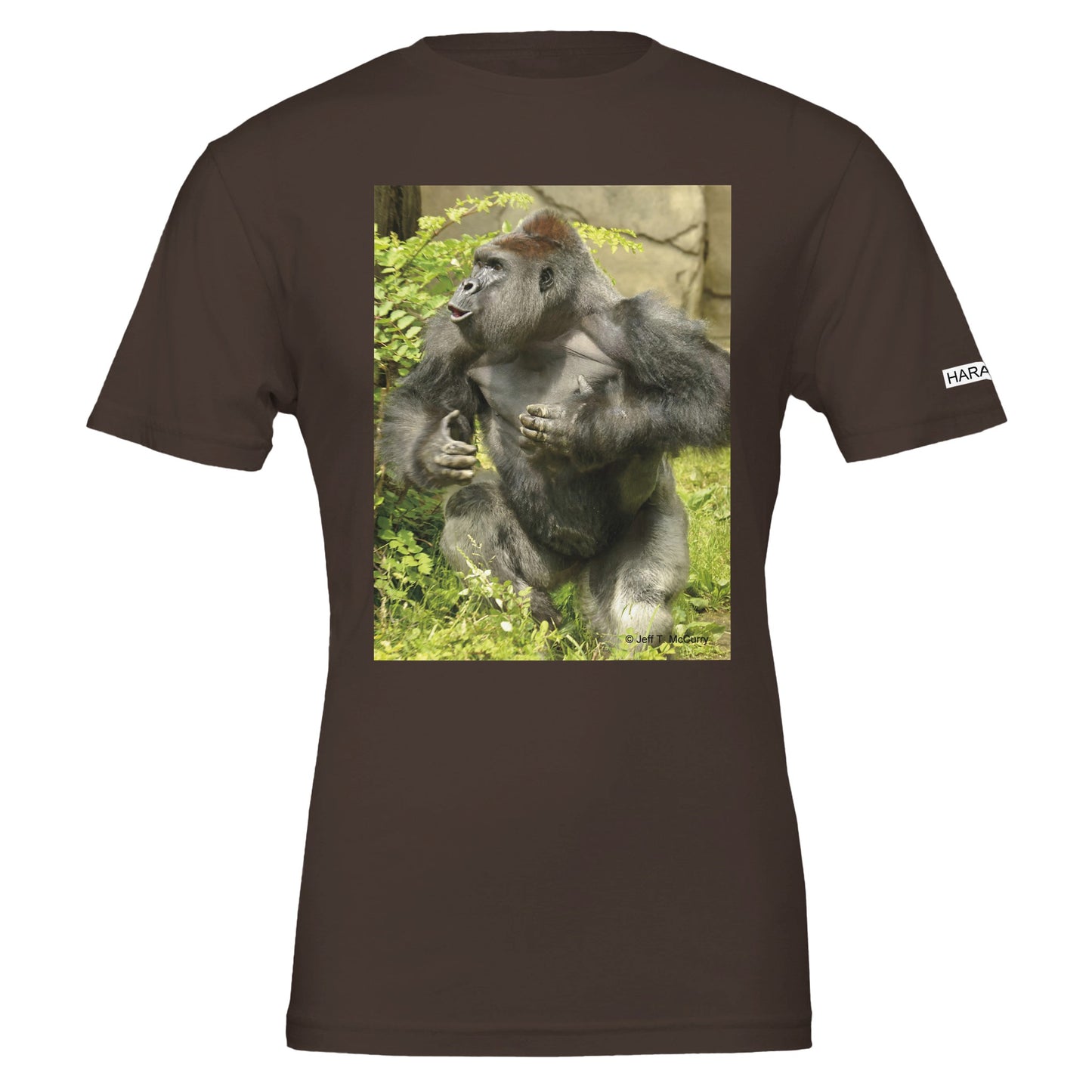 0a312338-f691-486a-b0ff-9982339fc863