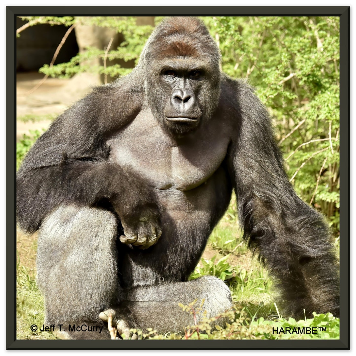 0a790715-f708-4398-8bda-a1294001cf00