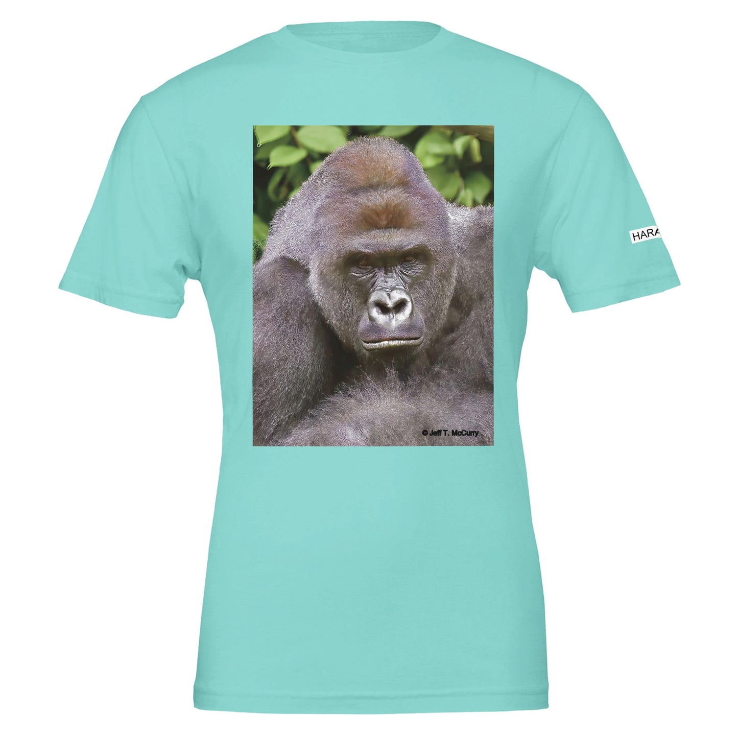 0ea01d18-2e99-47ac-8532-2bc16d4081ad