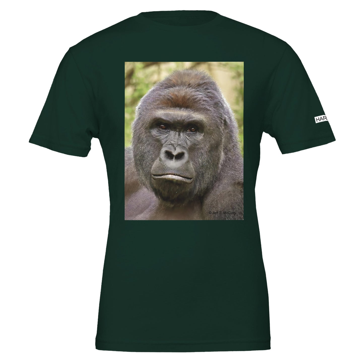 0fffc4fc-7acd-4593-91ae-d96e4ae36c8b