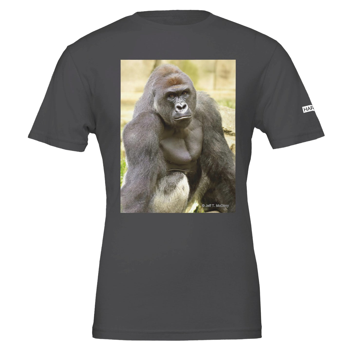 13f907d6-79e6-4f4b-8a00-646828c52dcc