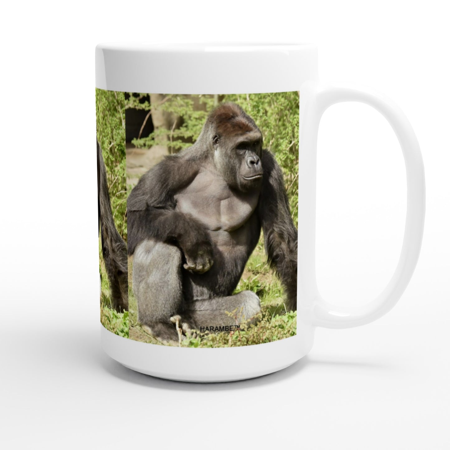 14742f9a-f927-4c4c-9443-20430206259b