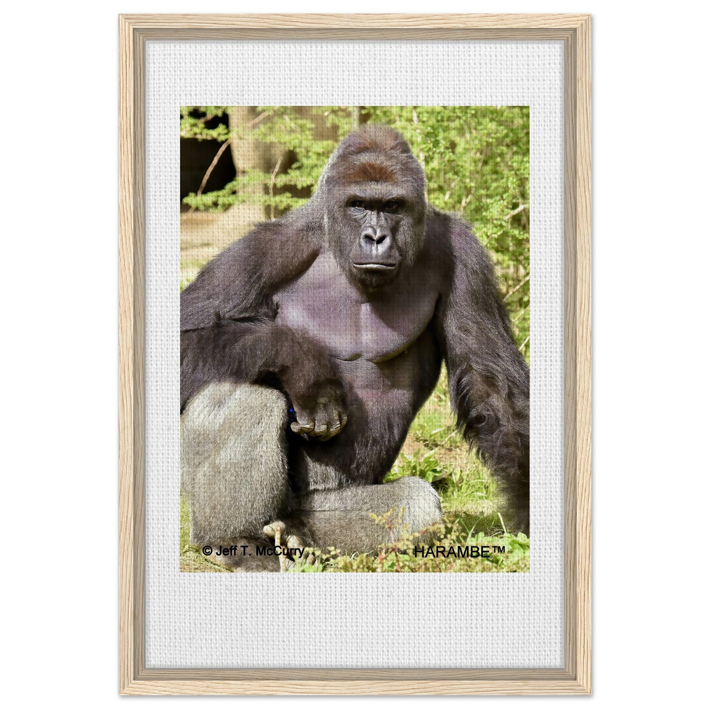 14eed013-00f5-4318-8a07-711afe980ae6