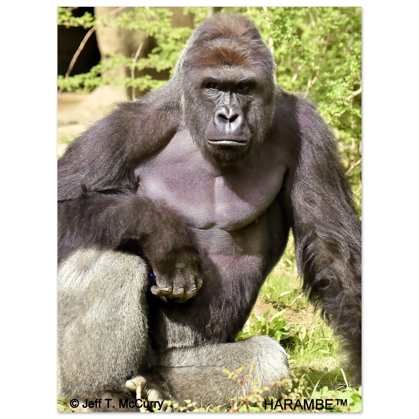 1b62fc13-659d-47e9-bbe0-f602de5bbe59