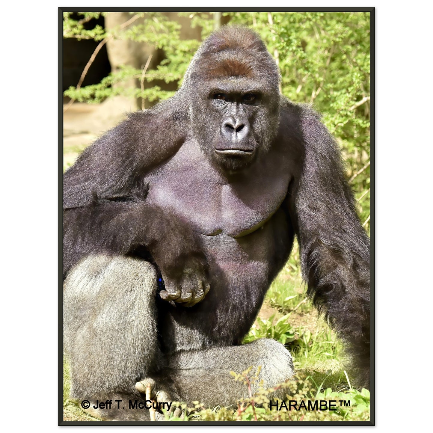 1d4b4ab4-f723-4cca-86ab-ce2d35c54773