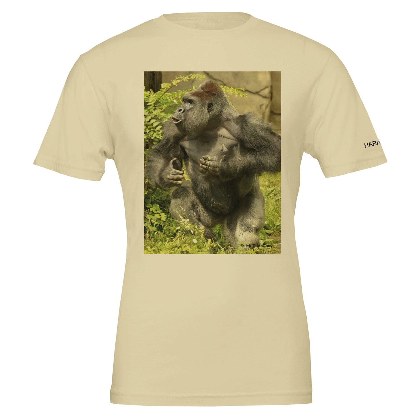 1e2ca909-021b-4baf-b8c7-9d97da82585d