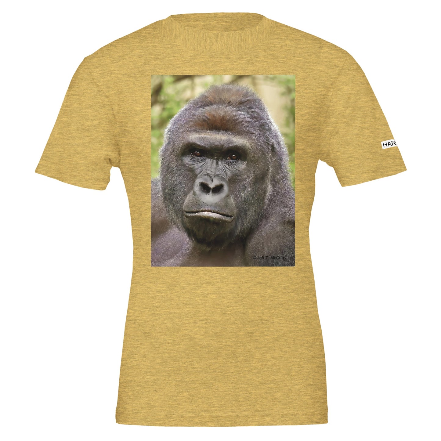 1e812e5f-86df-4dfc-af9b-38d1ee7a2835