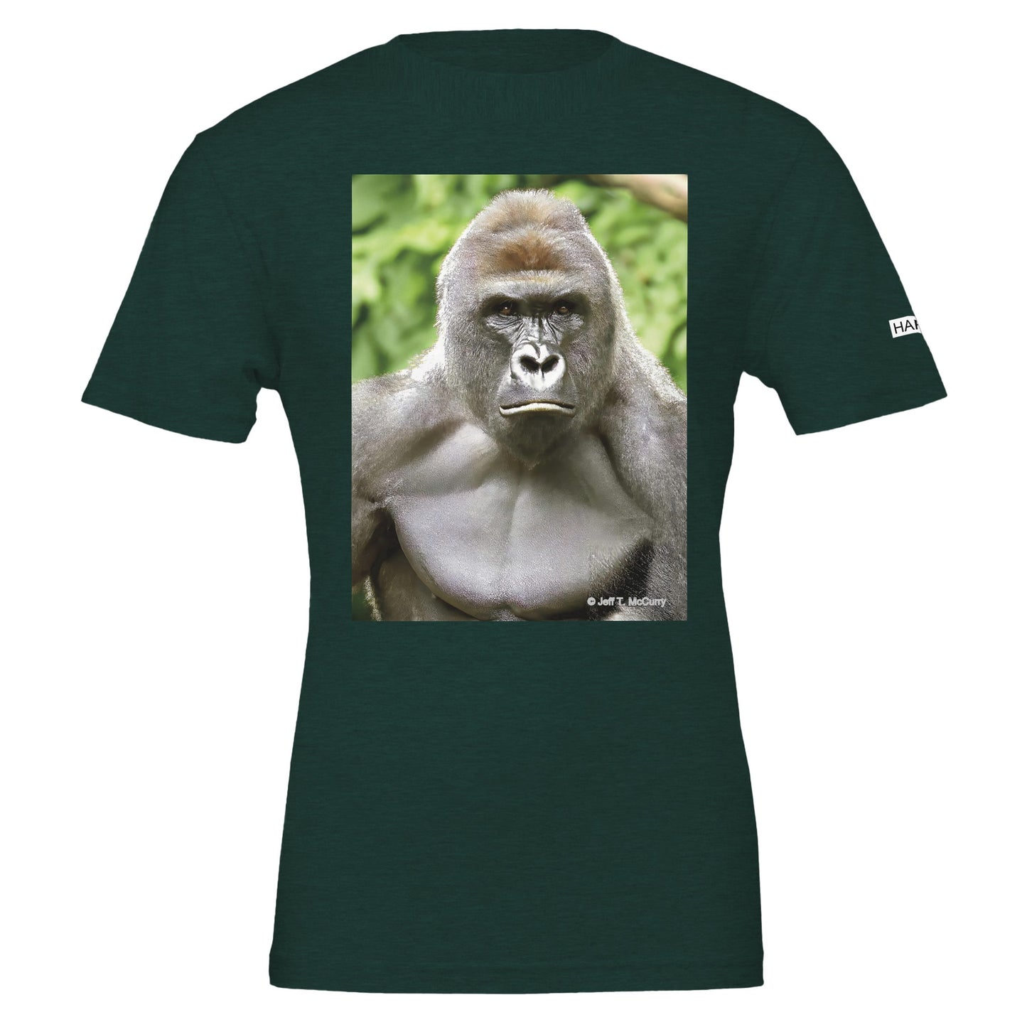 1fb0f00b-daa3-47d3-a9a0-fb742f57c18d