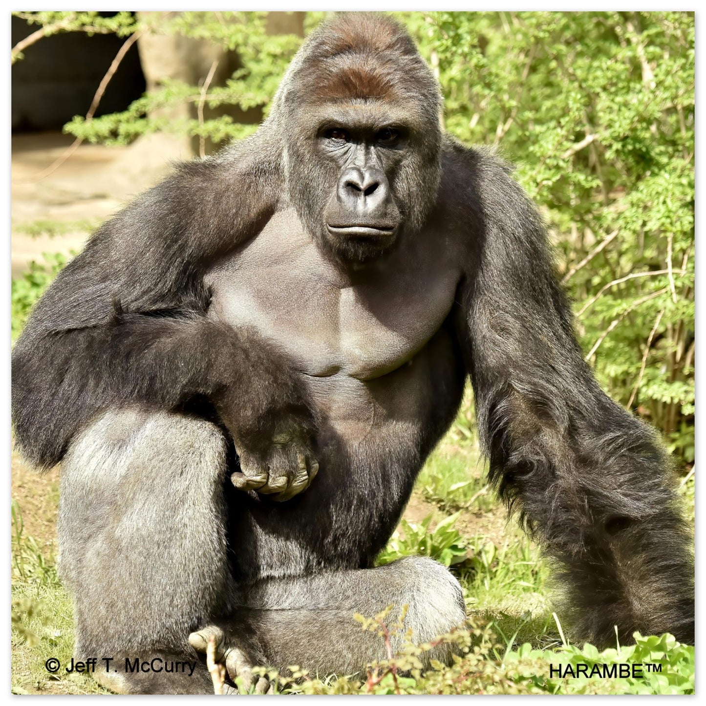 238a4234-53ac-4795-8b1b-d0d23c0d91d0