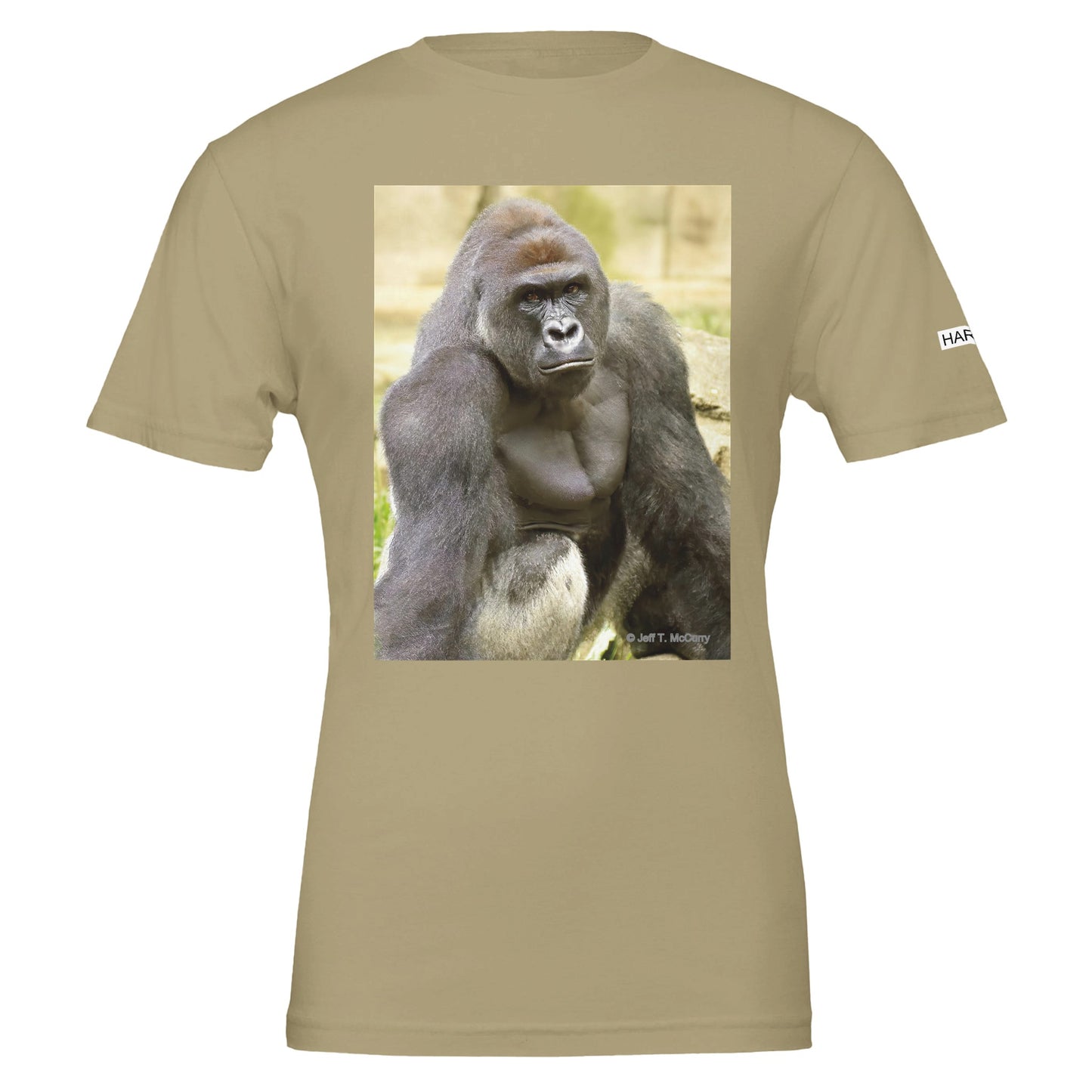 263c7a43-7258-4432-83e1-a12cb649e78f