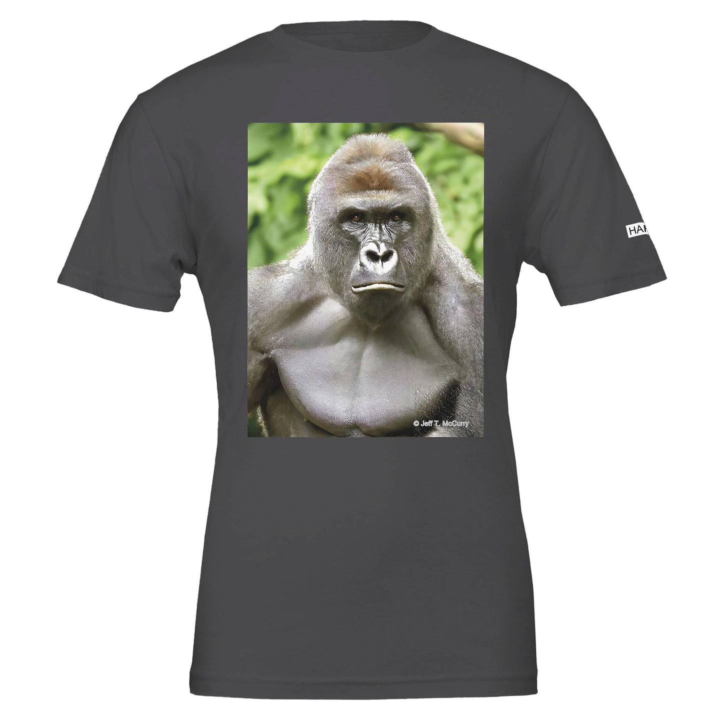 2bed687e-a8f8-4f6d-93f3-5c32f6606c89