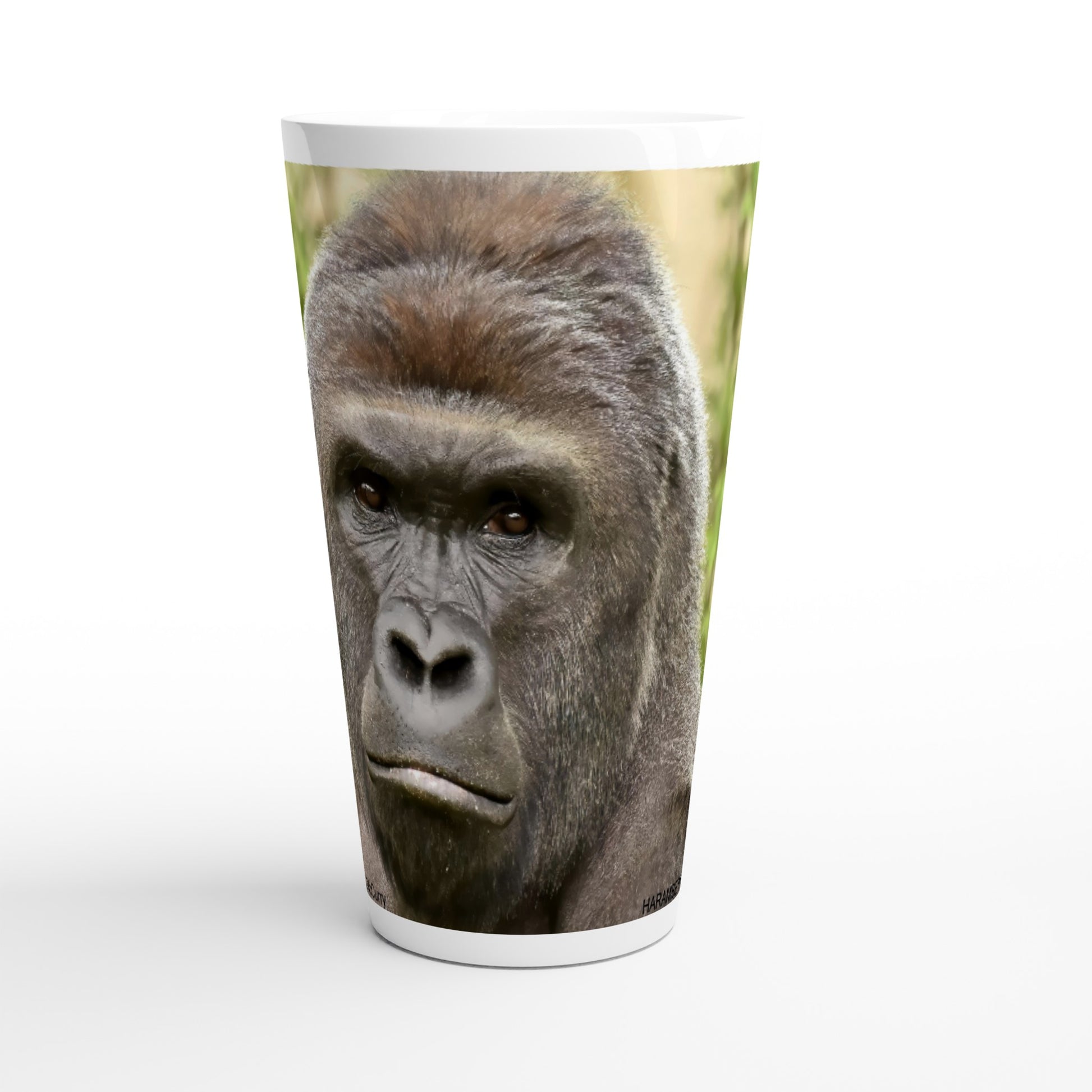 2c47cec5-502d-44a7-bc82-d042d1c28fda