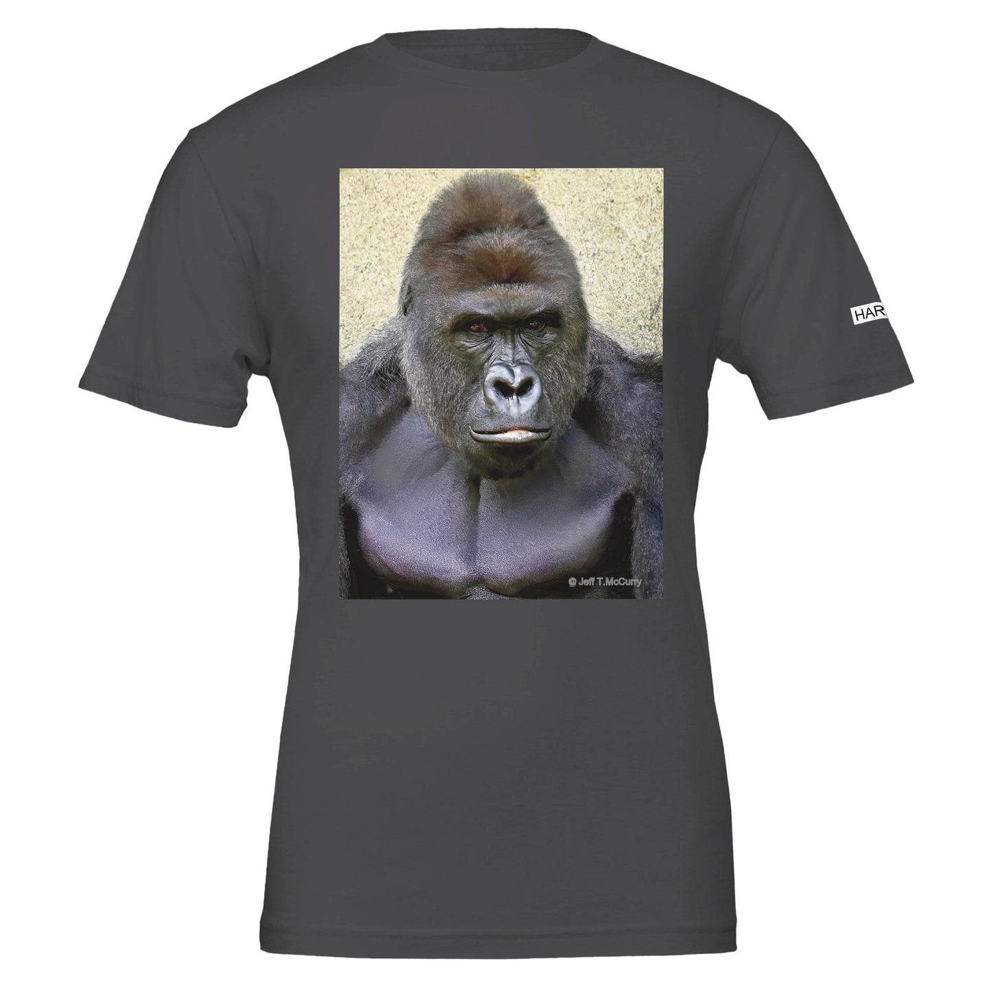 2dd8a71f-3dfd-4d09-98ed-57ad807e3495