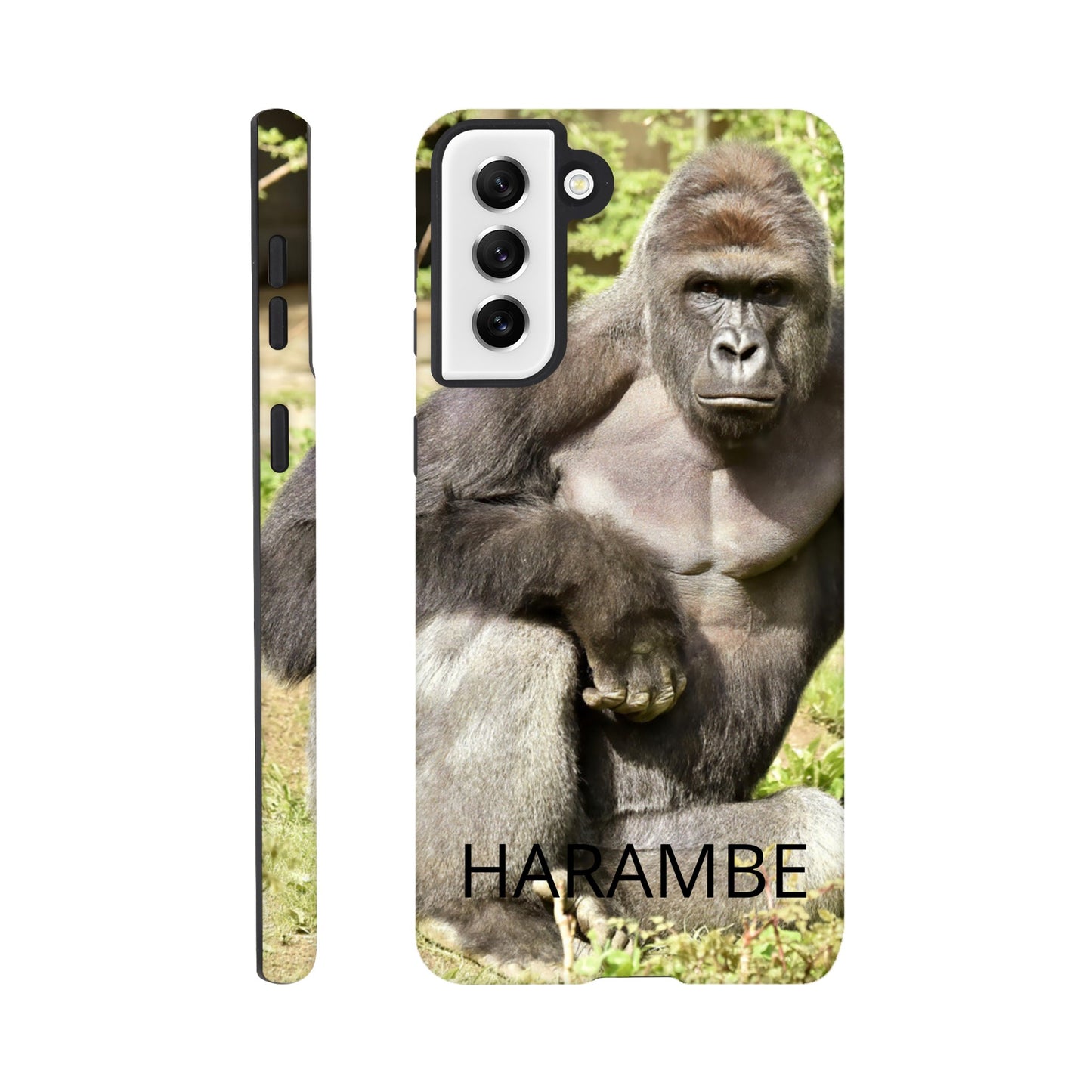 2ebdb85e-ddb5-422a-95ae-2f4a2370d30e