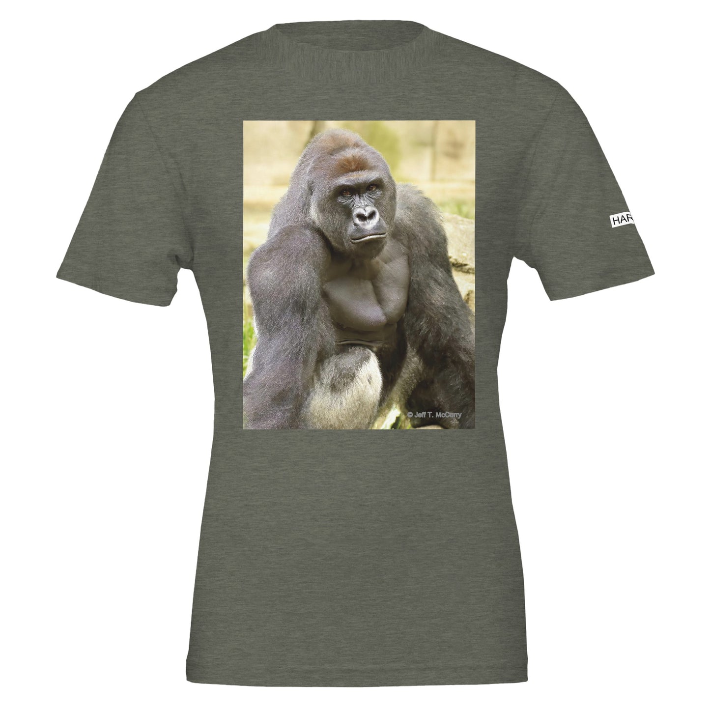 2f7e7bf9-75cf-49af-9371-06b820de7aa9