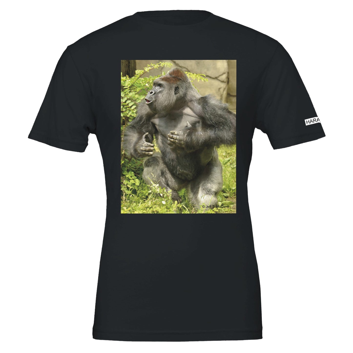 320f1c4e-4321-4709-946f-bbd5f0f5ddff