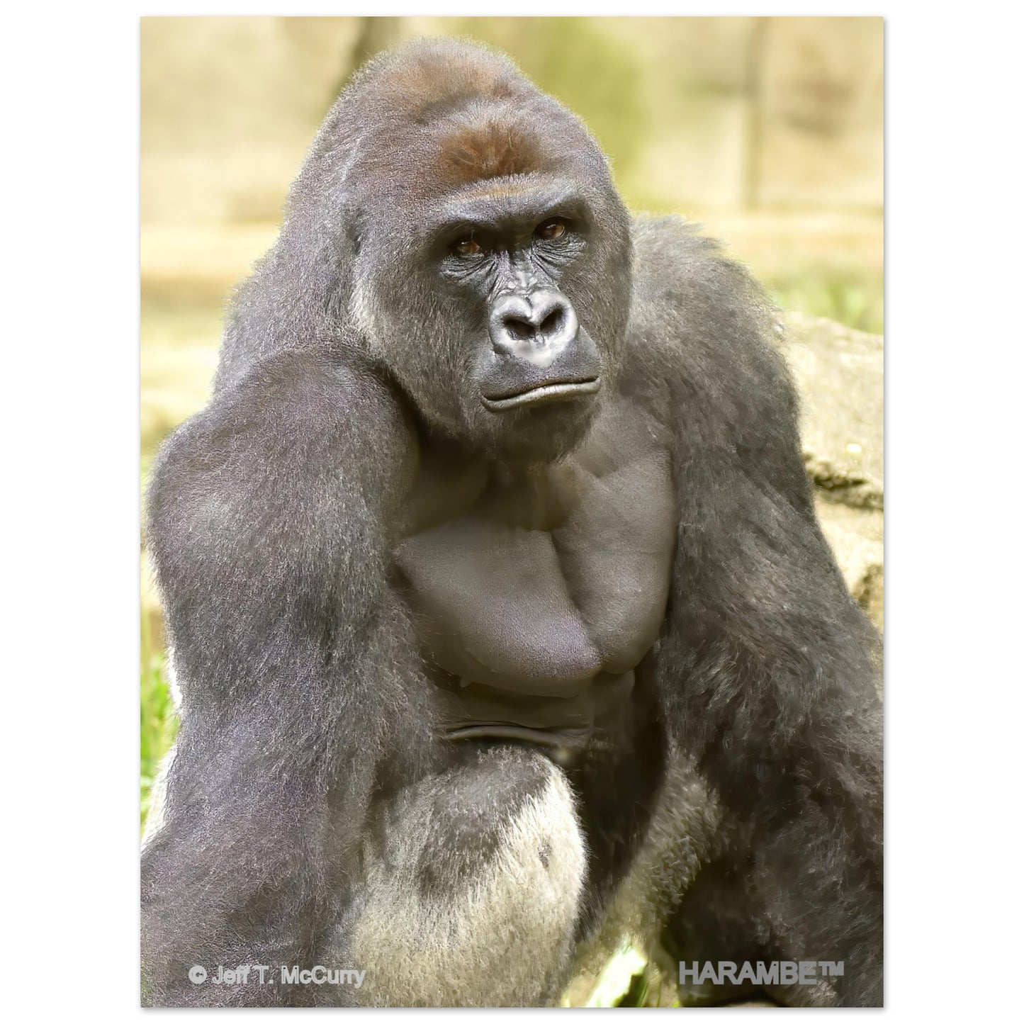 33917240-8641-455a-b700-02b1e9373f72