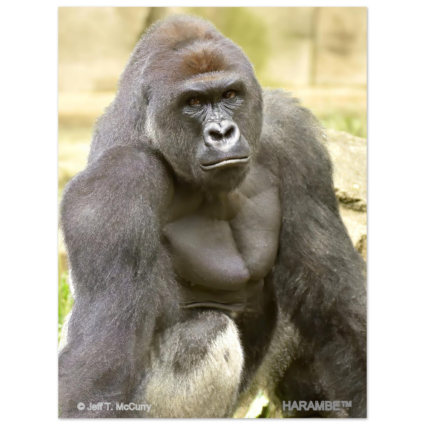 364a5f1b-b720-4c51-adbd-79885454b8f1