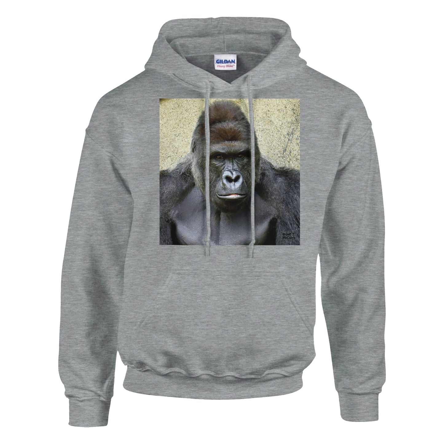 3b36f879-f0a6-44a7-9dcb-e1514f4754b6