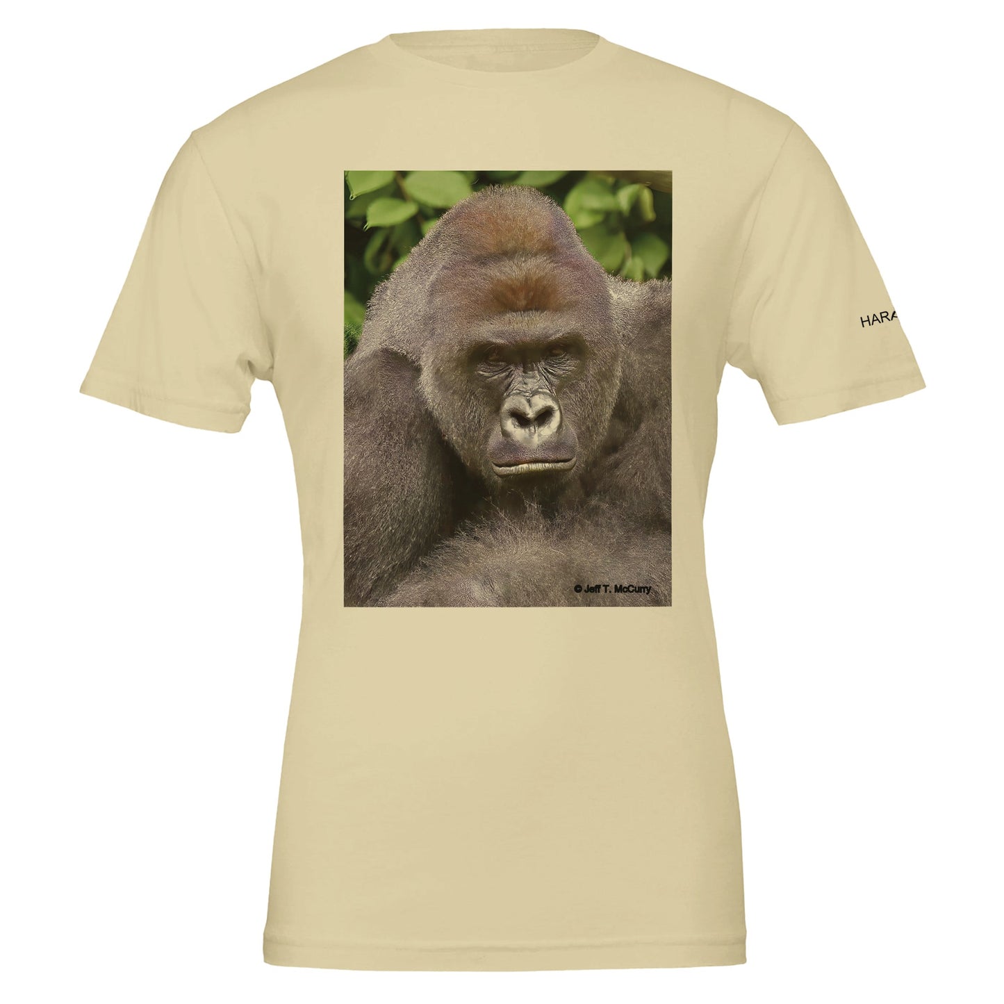 3bf53823-5892-49dc-bf6f-43dbfe2efe9f