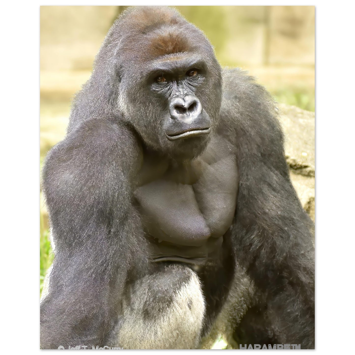 3c1aa9c2-9a94-4943-afbd-742935822722