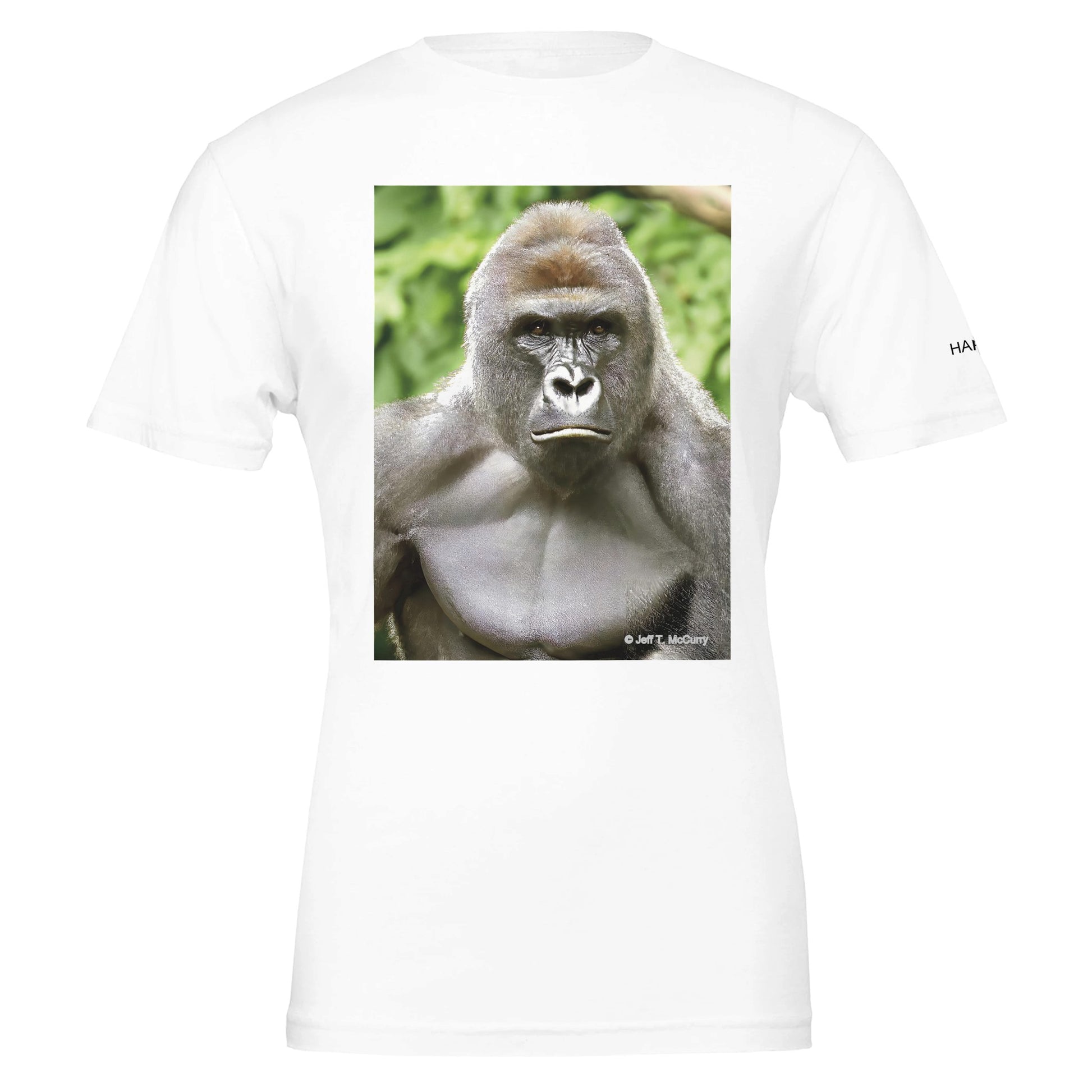 3e78c132-2b32-42aa-9475-9bd5509e321e