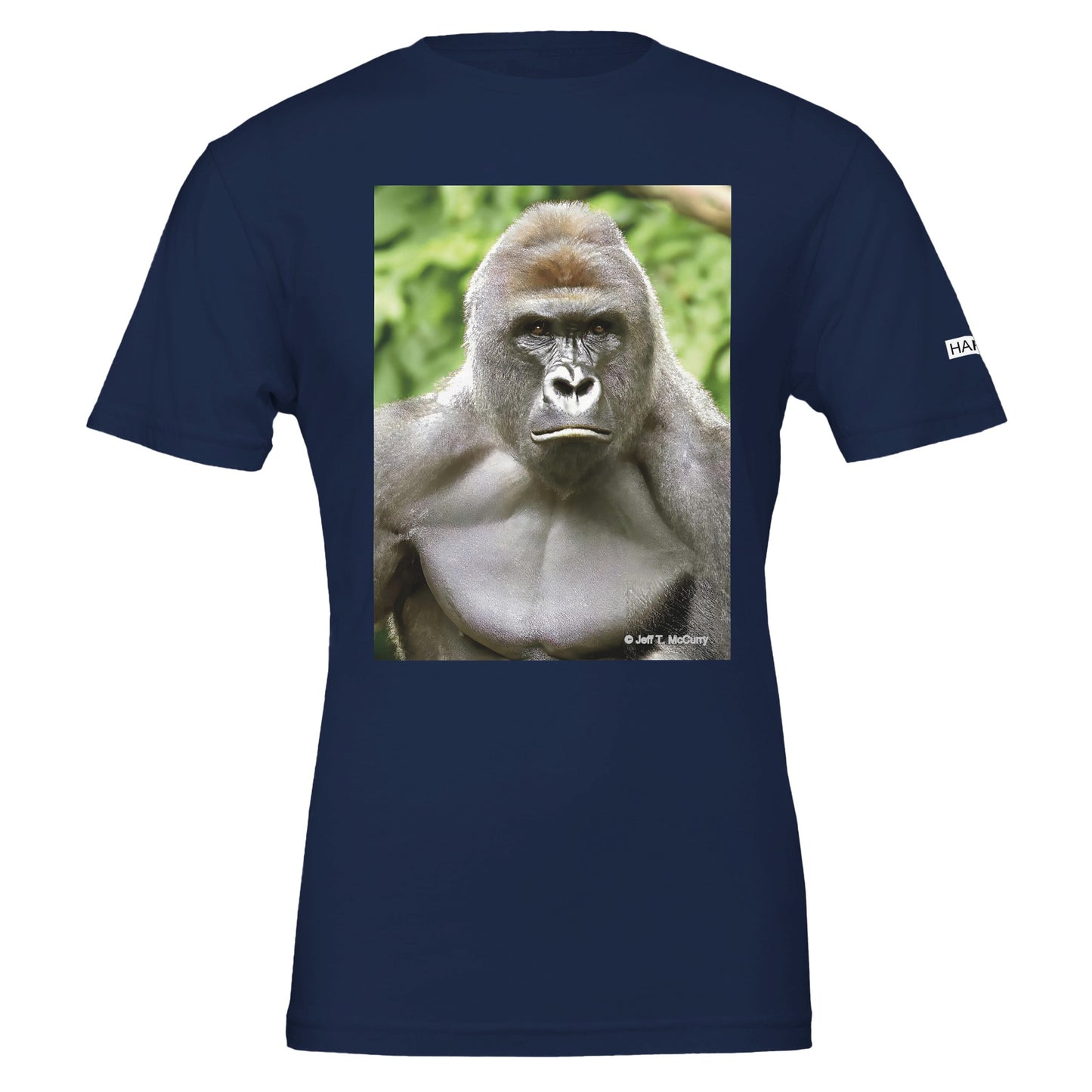 427b89e8-ff96-4645-b88a-8b51179500c7