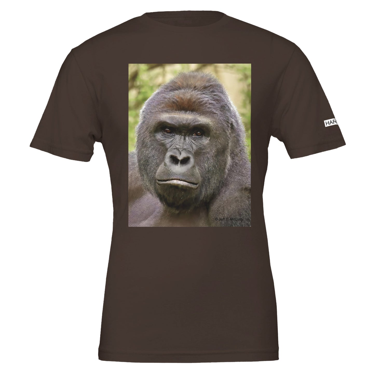 475be735-4ce5-43c4-af9c-1fc91cb43df0