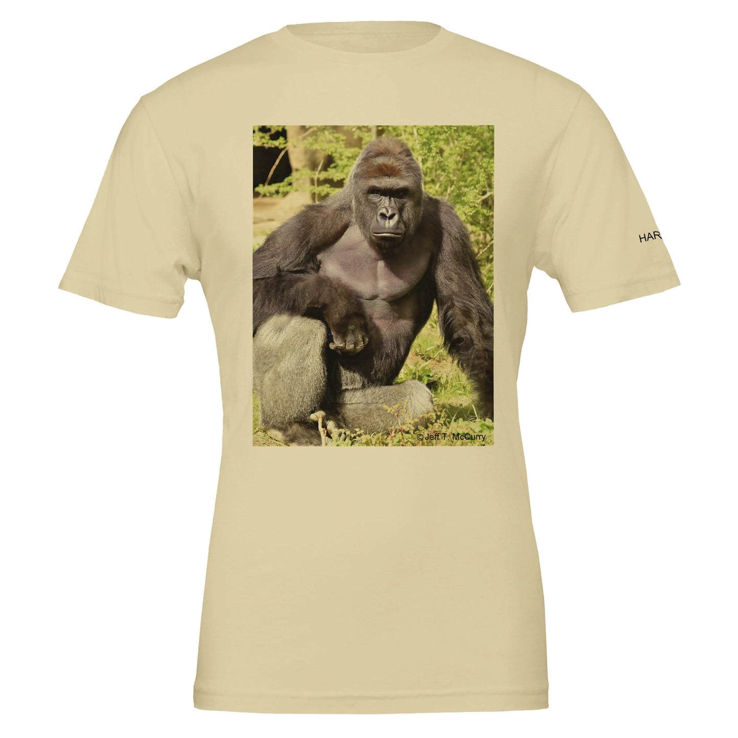 4892342e-9c73-499f-8cb2-41367f695fce