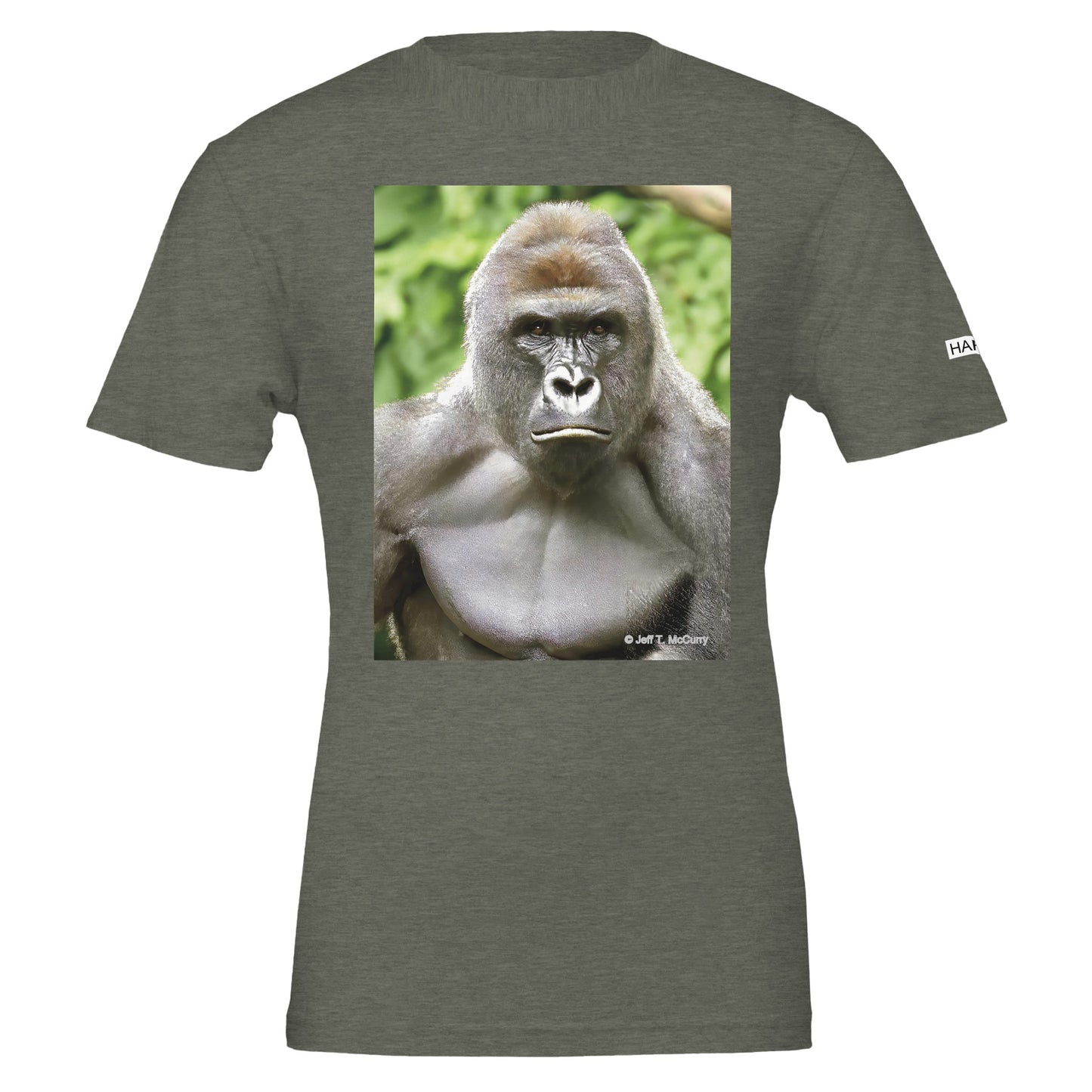 495a5121-2b3e-491d-a55d-95790ced1caf