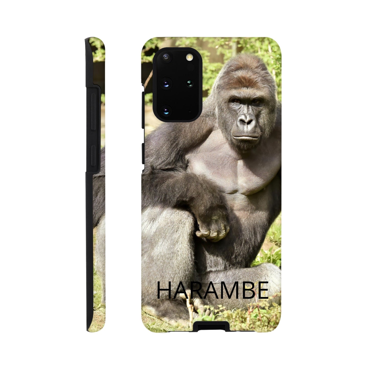 4ba67c70-de99-4416-9426-0081dfb2e1b4