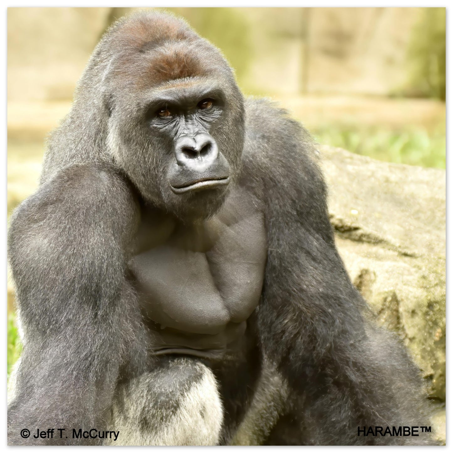 4dcee676-0eeb-4e66-8659-661bfcaee994