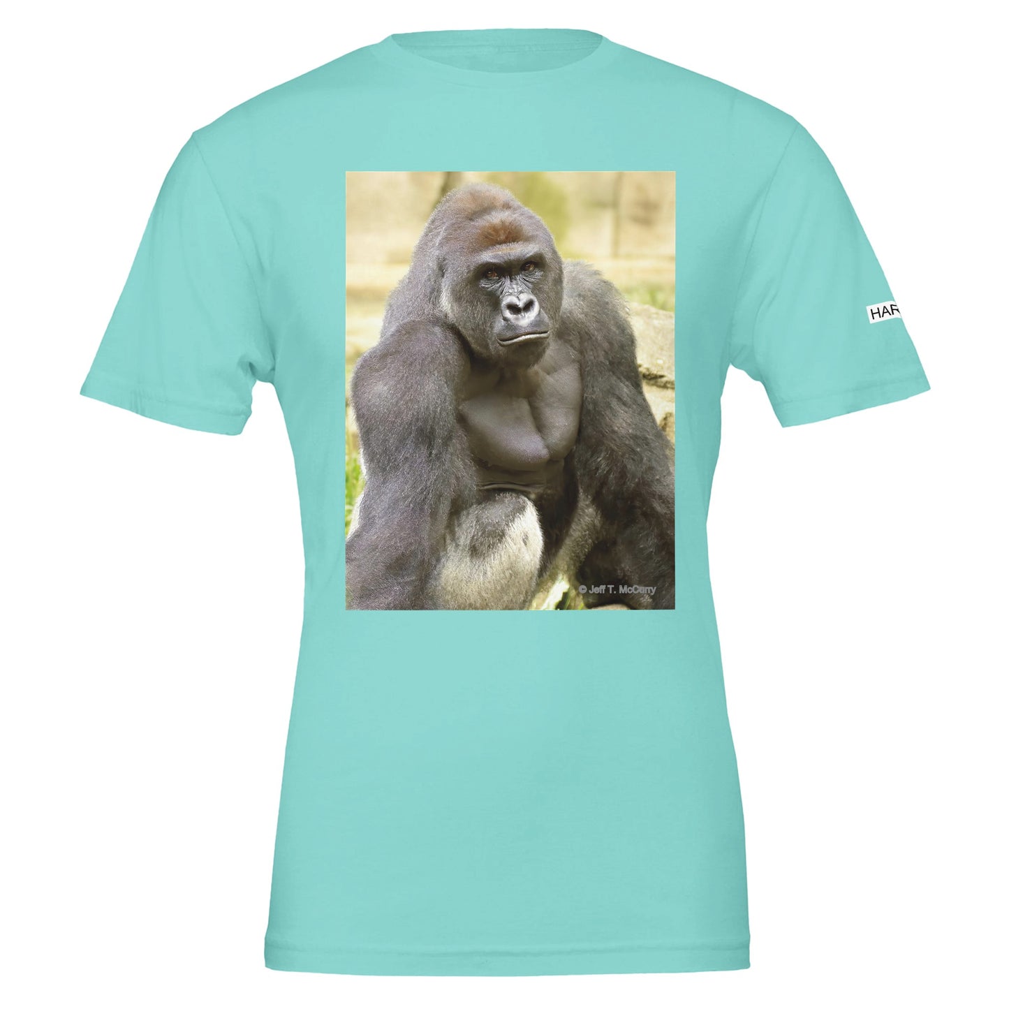 4f17ac72-7ea8-480a-9bef-37fb60d3ea08