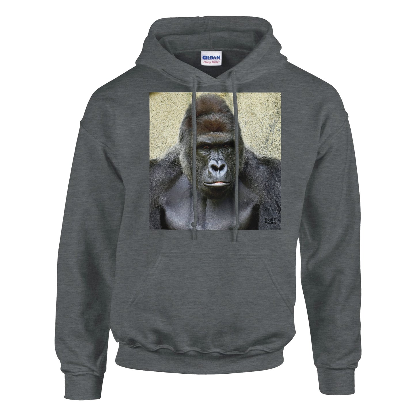 51060382-46af-4915-aaa6-fa6009d93925