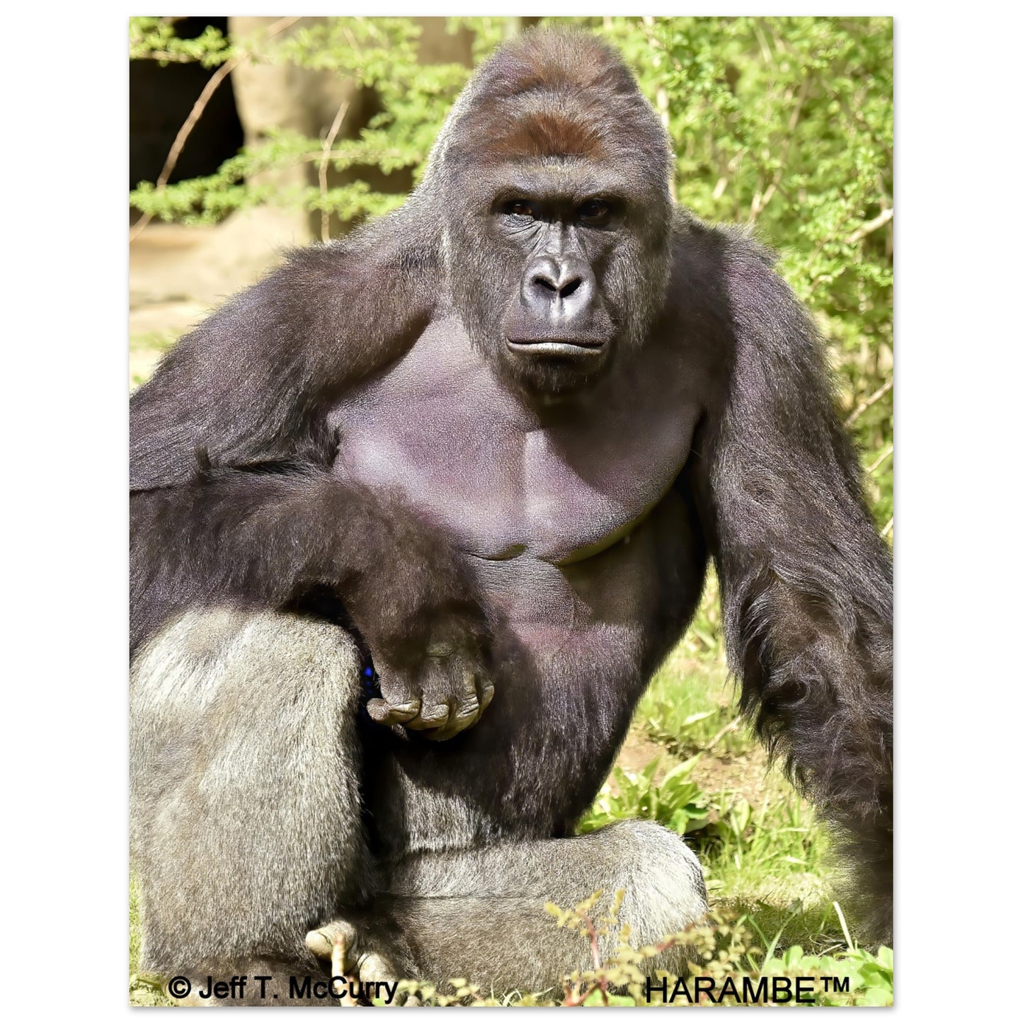 54676b09-3bf5-4167-a97b-28fc93d1e971