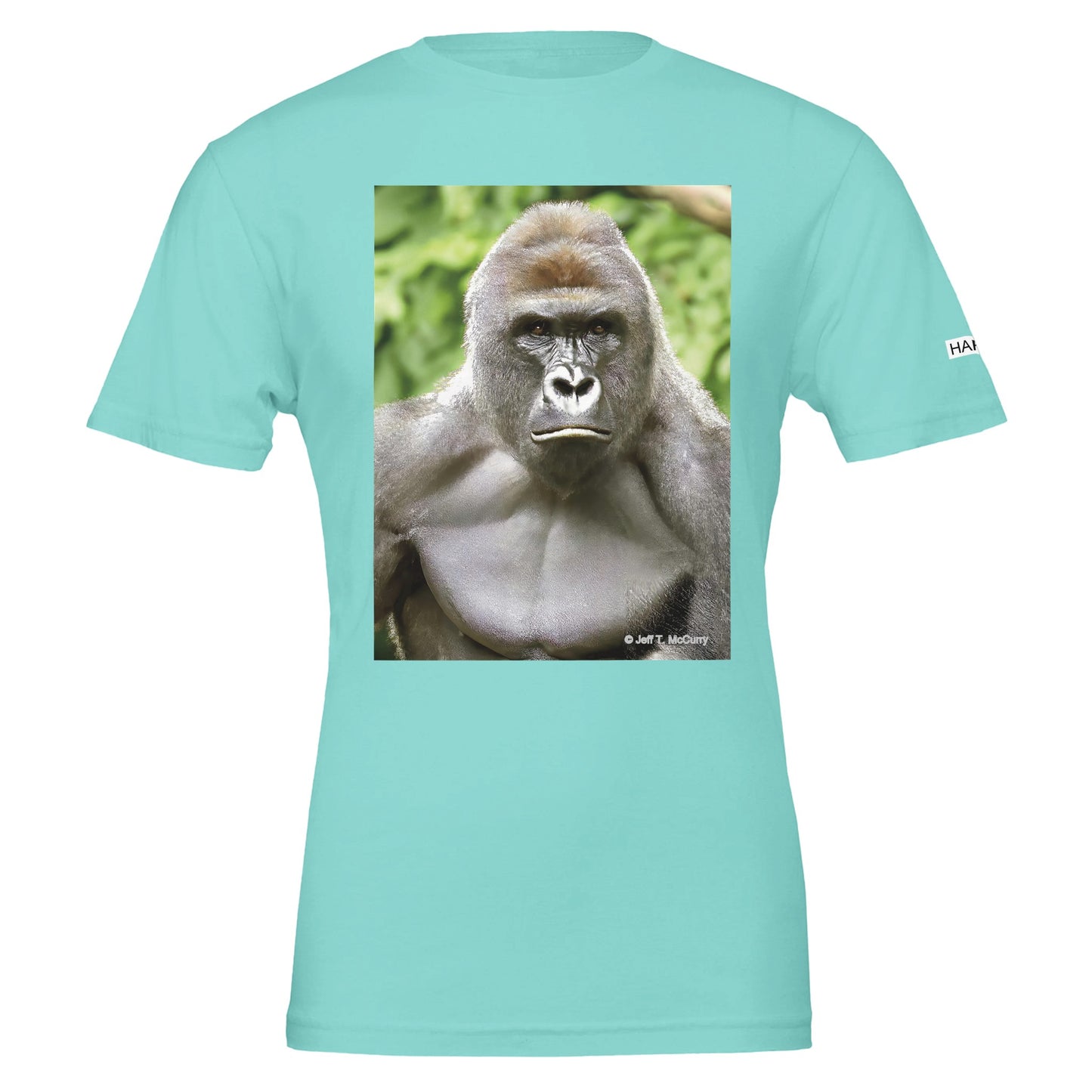 5536af4f-8e86-41eb-831e-e266a0b38381