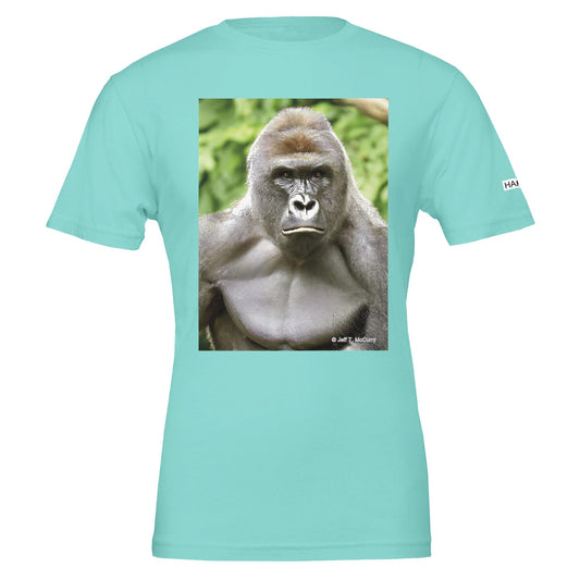 5536af4f-8e86-41eb-831e-e266a0b38381