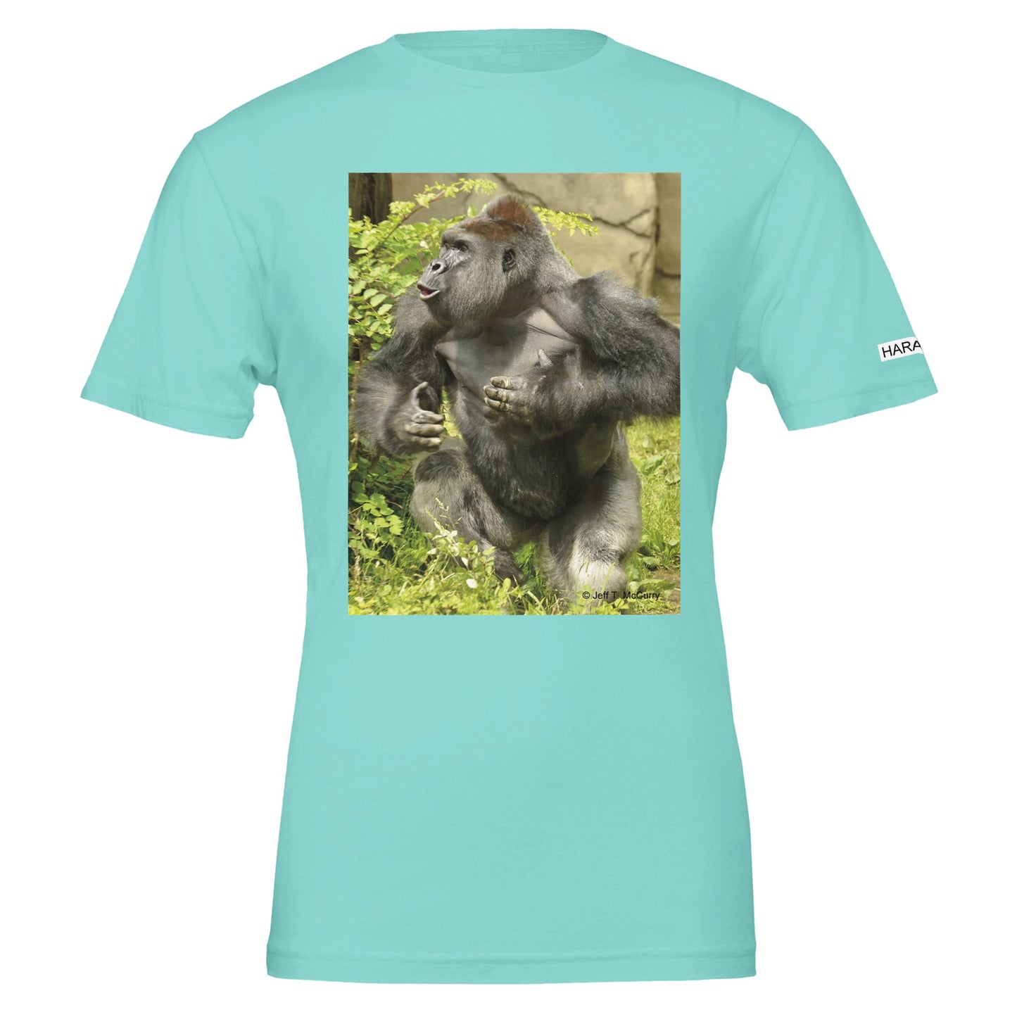 59465d79-5e77-4651-846f-68ea79e9ca42