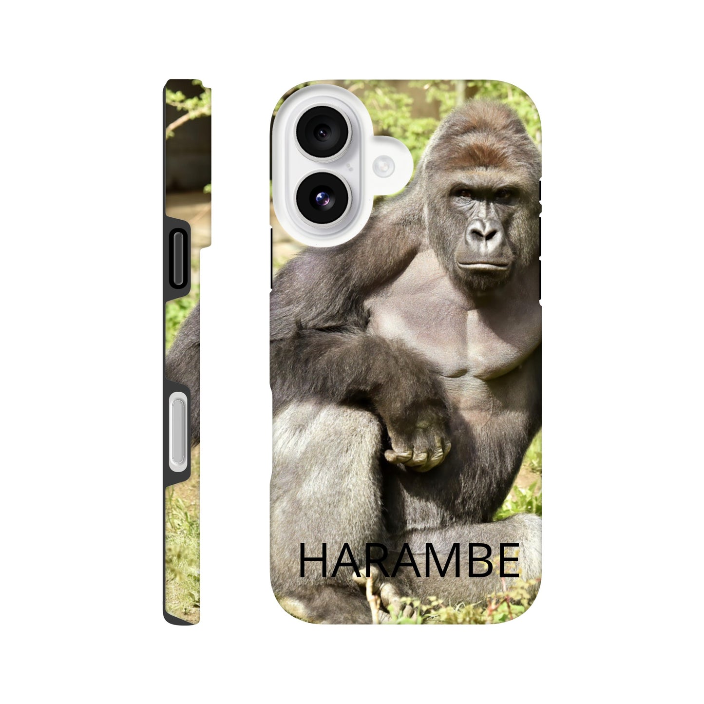 598e2080-1522-4f48-b6a4-cf811b30d202