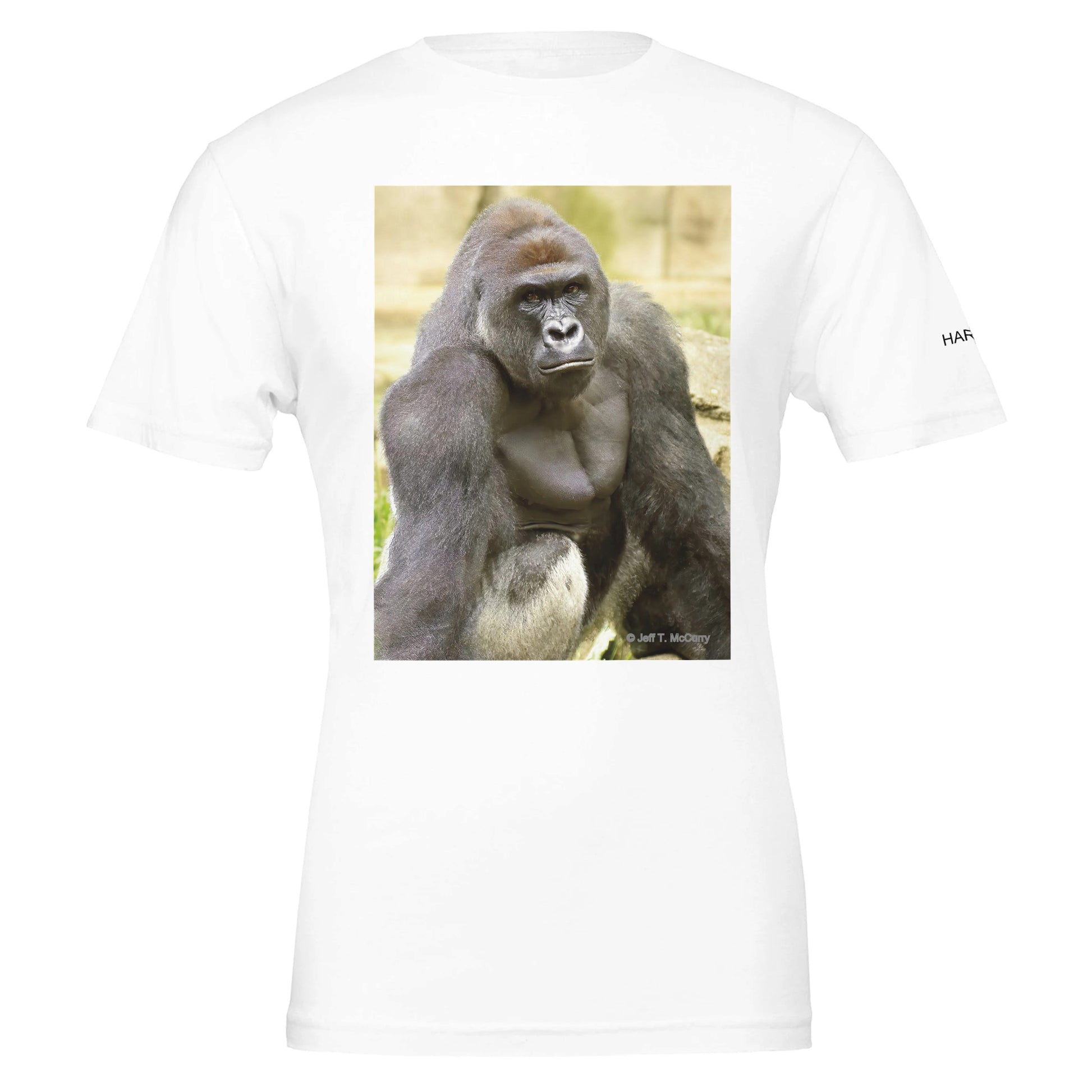 5aabac9b-f17f-44c0-81c7-373a0742fcfc