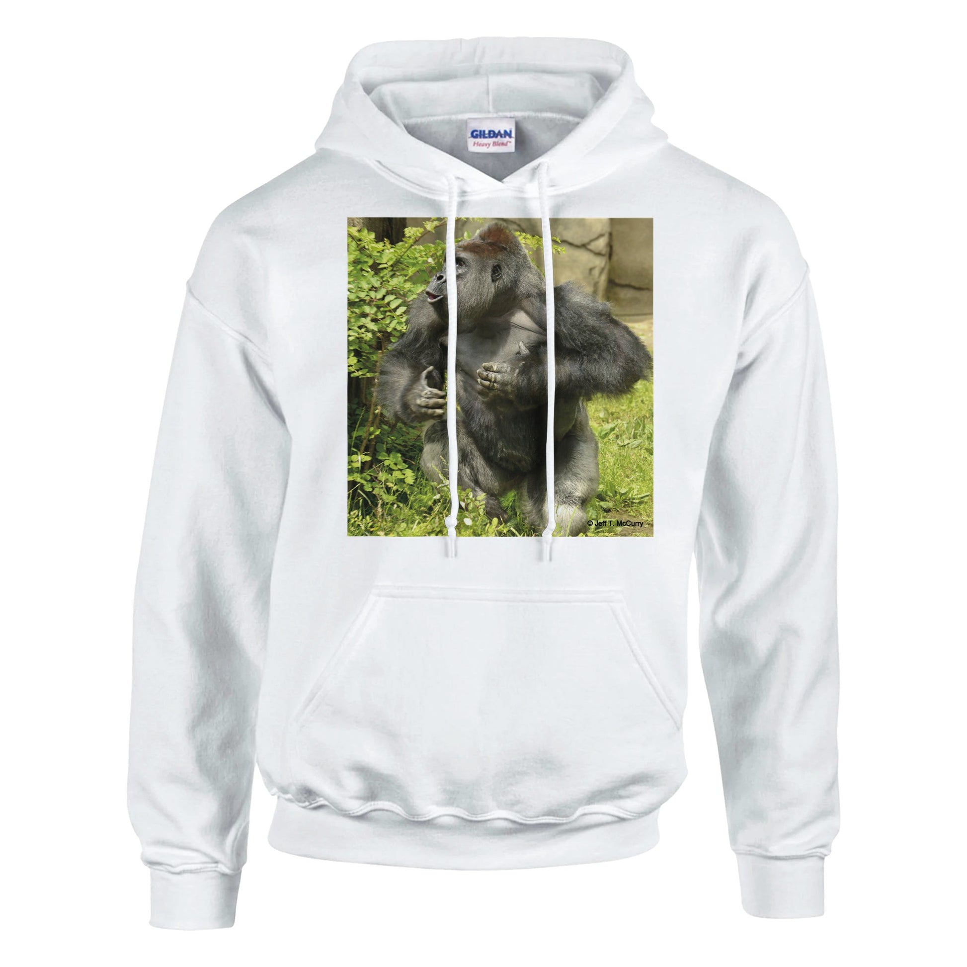 5ba3ad1f-e153-463a-8738-7b59d365ad58